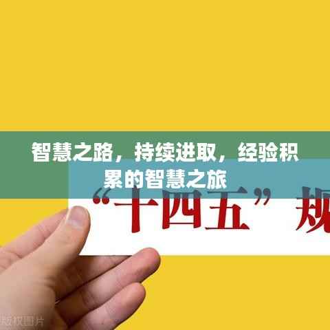 智慧之路,持续进取,经验积累的智慧之旅