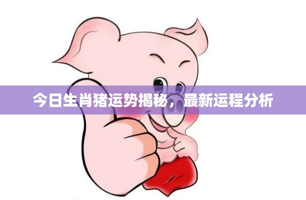 今日生肖猪运势揭秘,最新运程分析