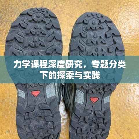 力学课程深度研究,专题分类下的探索与实践