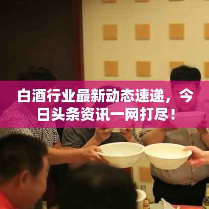 白酒行业最新动态速递,今日头条资讯一网打尽!