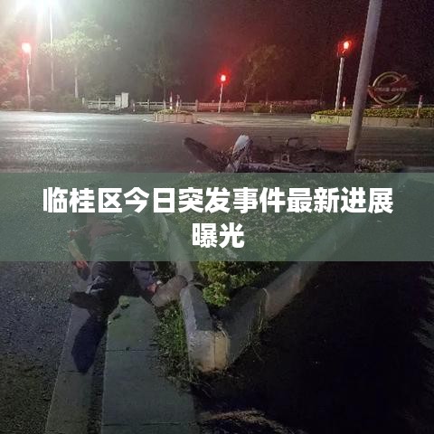 临桂区今日突发事件最新进展曝光