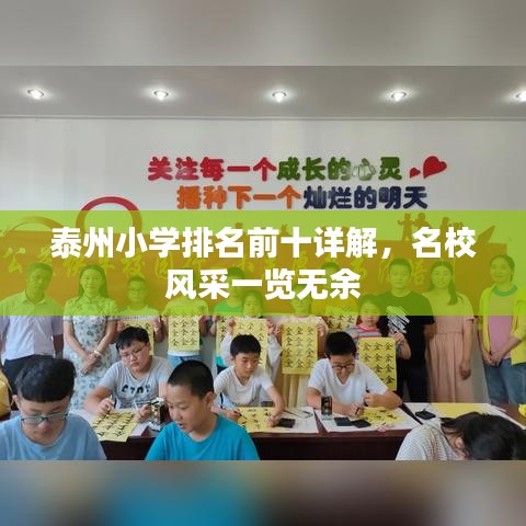 泰州小学排名前十详解,名校风采一览无余
