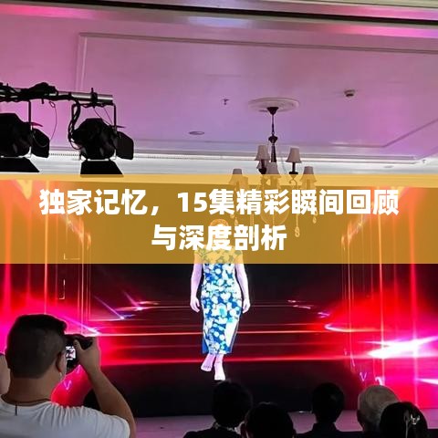 独家记忆,15集精彩瞬间回顾与深度剖析