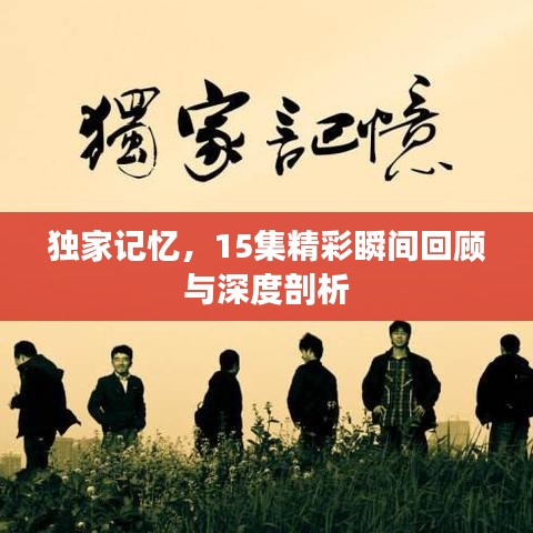 独家记忆,15集精彩瞬间回顾与深度剖析
