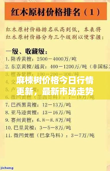 麻楝树价格今日行情更新,最新市场走势揭秘
