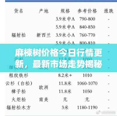 麻楝树价格今日行情更新,最新市场走势揭秘
