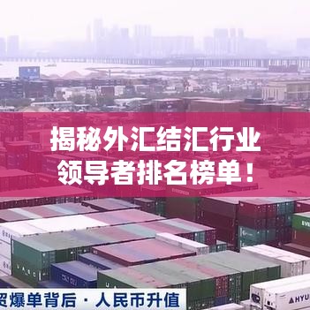 揭秘外汇结汇行业领导者排名榜单!