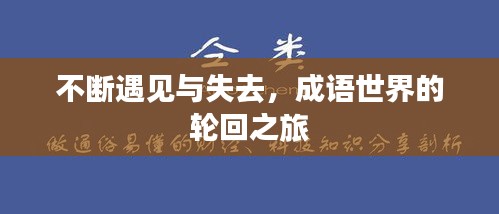 不断遇见与失去,成语世界的轮回之旅
