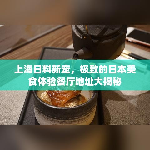 上海日料新宠,极致的日本美食体验餐厅地址大揭秘