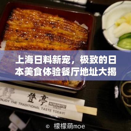 上海日料新宠,极致的日本美食体验餐厅地址大揭秘