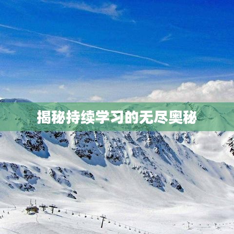 揭秘持续学习的无尽奥秘