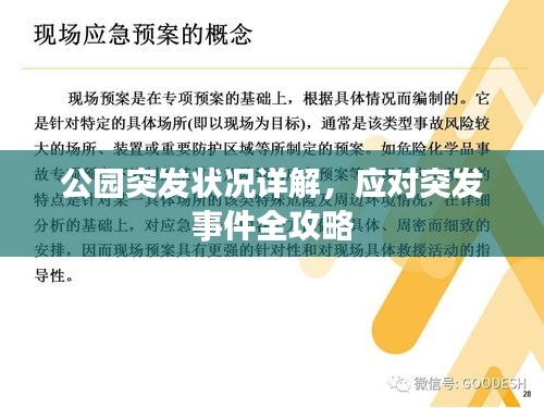 公园突发状况详解,应对突发事件全攻略
