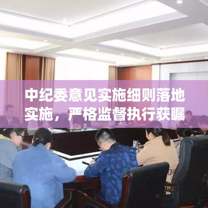 中纪委意见实施细则落地实施,严格监督执行获瞩目