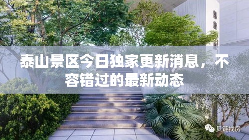 泰山景区今日独家更新消息,不容错过的最新动态