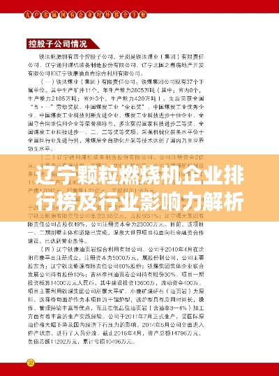 辽宁颗粒燃烧机企业排行榜及行业影响力解析