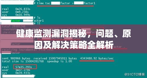 健康监测漏洞揭秘,问题、原因及解决策略全解析